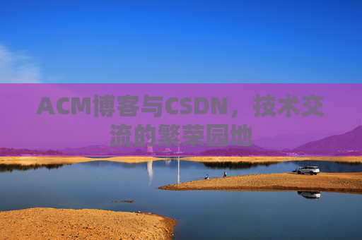 ACM博客与CSDN，技术交流的繁荣园地